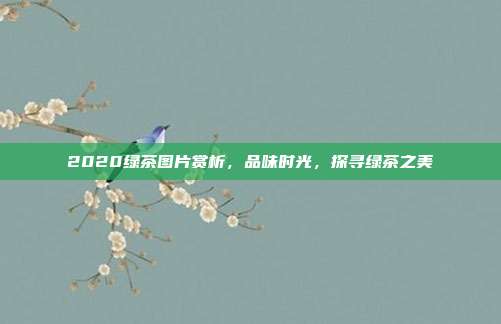 2020绿茶图片赏析，品味时光，探寻绿茶之美