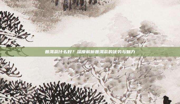普洱茶什么好？深度解析普洱茶的优势与魅力