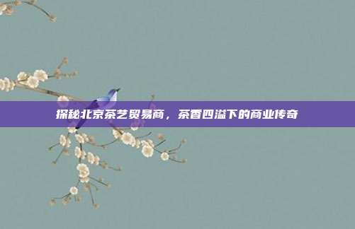 探秘北京茶艺贸易商，茶香四溢下的商业传奇