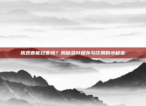 铁观音能过夜吗？揭秘茶叶储存与饮用的小秘密
