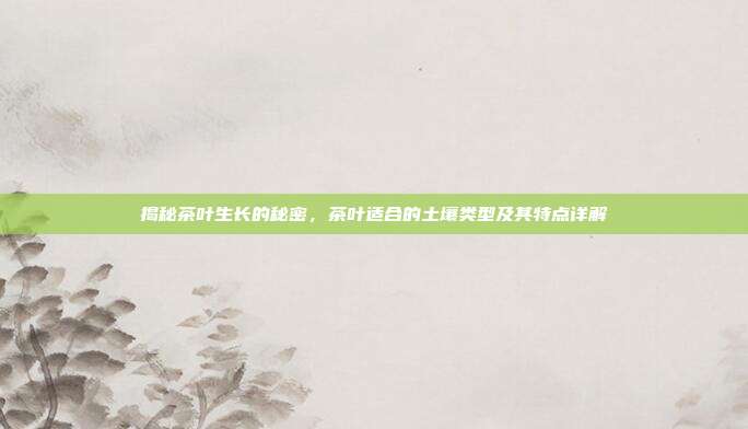 揭秘茶叶生长的秘密，茶叶适合的土壤类型及其特点详解