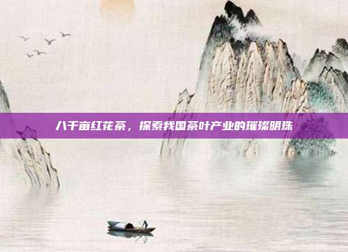 八千亩红花茶，探索我国茶叶产业的璀璨明珠