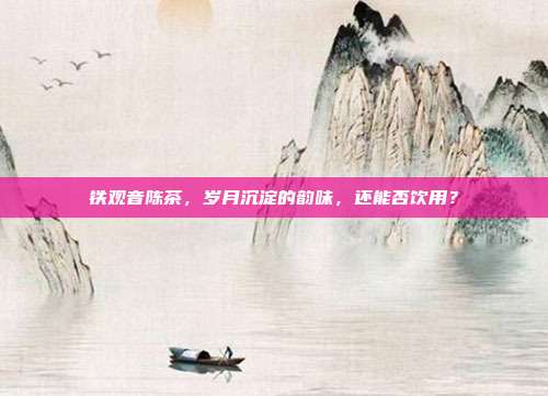 铁观音陈茶，岁月沉淀的韵味，还能否饮用？