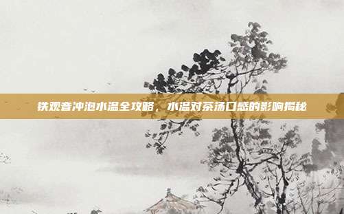 铁观音冲泡水温全攻略，水温对茶汤口感的影响揭秘