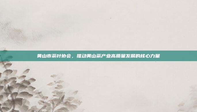 黄山市茶叶协会，推动黄山茶产业高质量发展的核心力量