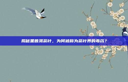 揭秘黑普洱茶叶，为何被称为茶叶界的毒药？