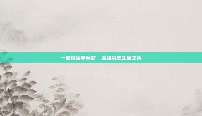 一曲凤凰单枞韵，品味茶艺生活之美