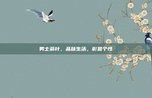 男士茶叶，品味生活，彰显个性