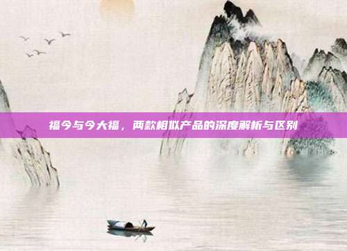 福今与今大福，两款相似产品的深度解析与区别