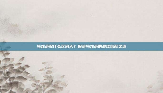 乌龙茶配什么区别大？探索乌龙茶的最佳搭配之道