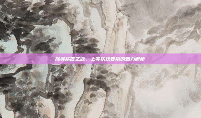 探寻茶香之源，上等铁观音茶的魅力解析