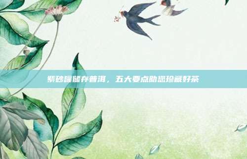 紫砂罐储存普洱，五大要点助您珍藏好茶
