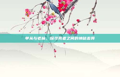 单从与老枞，探寻两者之间的神秘差异