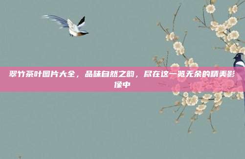 翠竹茶叶图片大全，品味自然之韵，尽在这一览无余的精美影像中