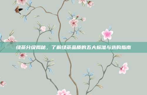 绿茶分级揭秘，了解绿茶品质的五大标准与选购指南