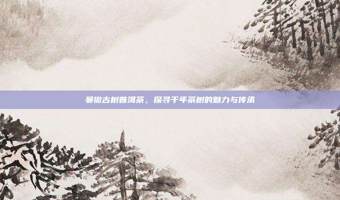曼撒古树普洱茶，探寻千年茶树的魅力与传承