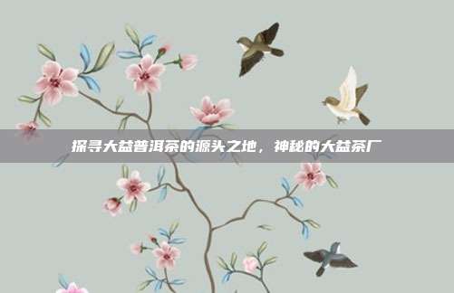 探寻大益普洱茶的源头之地，神秘的大益茶厂