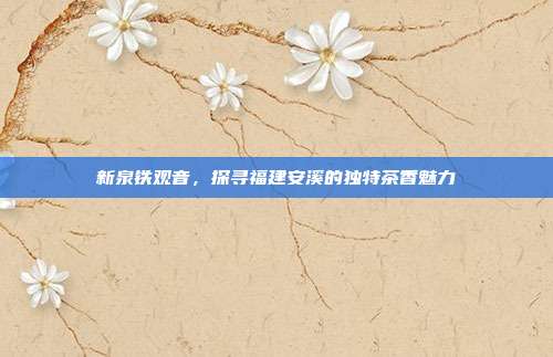 新泉铁观音，探寻福建安溪的独特茶香魅力