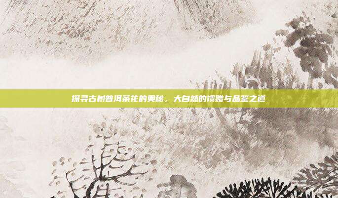 探寻古树普洱茶花的奥秘，大自然的馈赠与品鉴之道