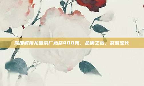 深度解析龙园茶厂熟茶400克，品质之选，茶韵悠长
