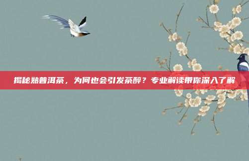 揭秘熟普洱茶，为何也会引发茶醉？专业解读带你深入了解