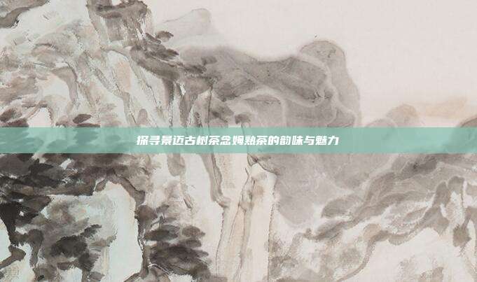 探寻景迈古树茶念姆熟茶的韵味与魅力