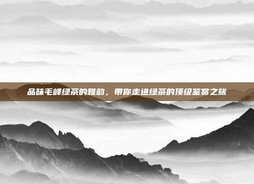 品味毛峰绿茶的雅韵，带你走进绿茶的顶级鉴赏之旅