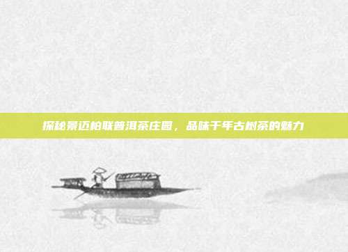 探秘景迈柏联普洱茶庄园，品味千年古树茶的魅力