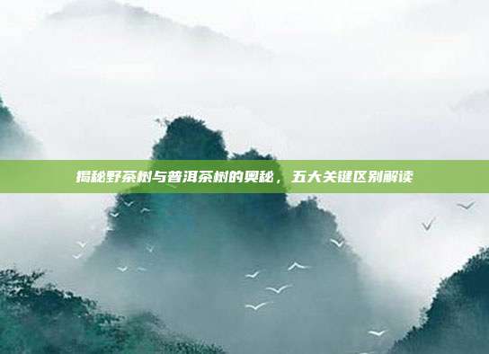 揭秘野茶树与普洱茶树的奥秘，五大关键区别解读