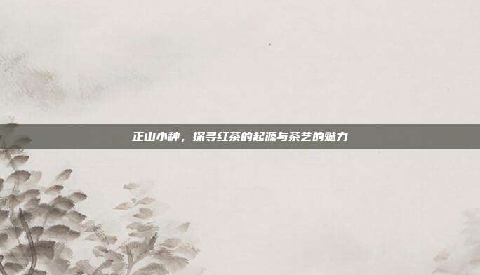 正山小种，探寻红茶的起源与茶艺的魅力