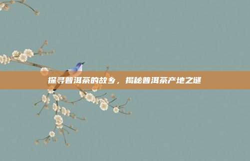 探寻普洱茶的故乡，揭秘普洱茶产地之谜