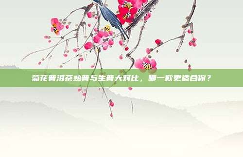 菊花普洱茶熟普与生普大对比，哪一款更适合你？