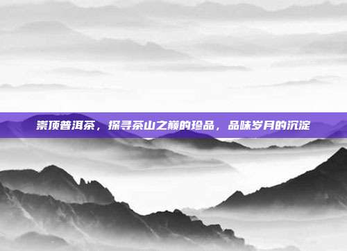 崇顶普洱茶，探寻茶山之巅的珍品，品味岁月的沉淀