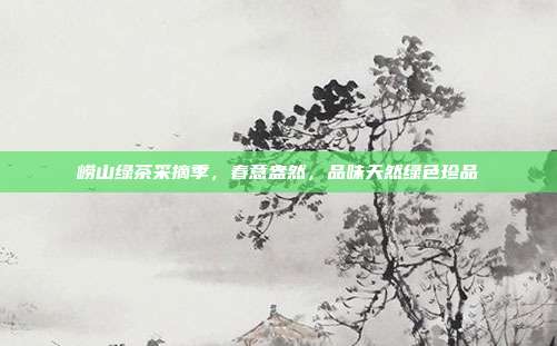 崂山绿茶采摘季，春意盎然，品味天然绿色珍品