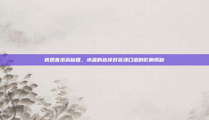 铁观音泡茶秘籍，水温的选择对茶汤口感的影响揭秘