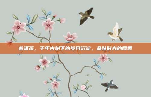 普洱茶，千年古树下的岁月沉淀，品味时光的醇香