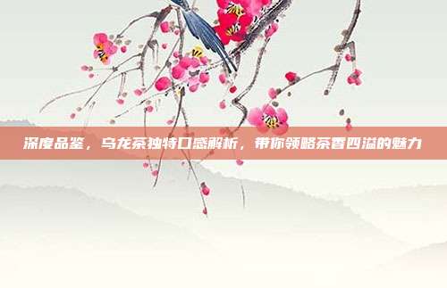 深度品鉴，乌龙茶独特口感解析，带你领略茶香四溢的魅力