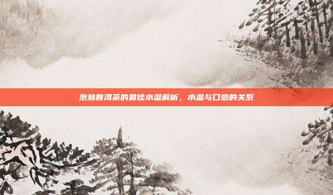 泡熟普洱茶的最佳水温解析，水温与口感的关系