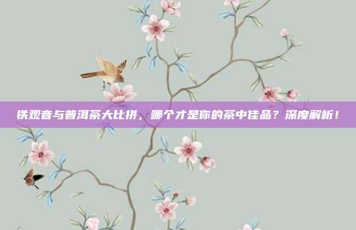 铁观音与普洱茶大比拼，哪个才是你的茶中佳品？深度解析！