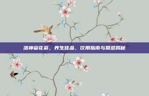 洛神菊花茶，养生佳品，饮用指南与禁忌揭秘