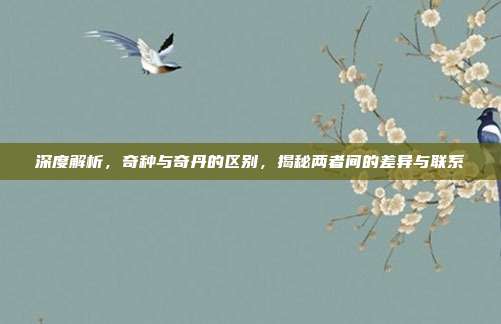 深度解析，奇种与奇丹的区别，揭秘两者间的差异与联系