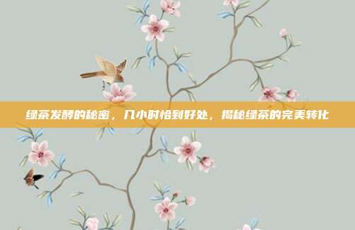 绿茶发酵的秘密，几小时恰到好处，揭秘绿茶的完美转化