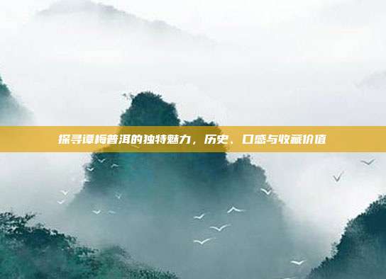 探寻谭梅普洱的独特魅力，历史、口感与收藏价值