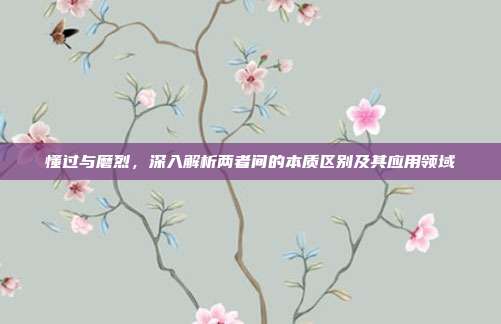 懂过与磨烈，深入解析两者间的本质区别及其应用领域