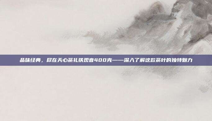 品味经典，尽在天心茶礼铁观音400克——深入了解这款茶叶的独特魅力