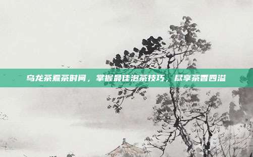 乌龙茶煮茶时间，掌握最佳泡茶技巧，尽享茶香四溢