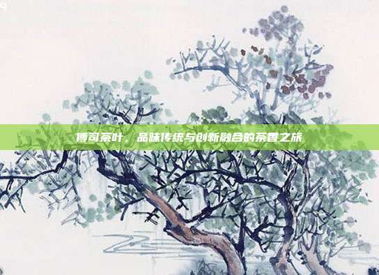 傅司茶叶，品味传统与创新融合的茶香之旅