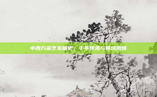 中西方茶艺发展史，千年传承与异域风情