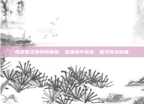铁观音正味特色解析，品味茶中珍品，探寻传统韵味