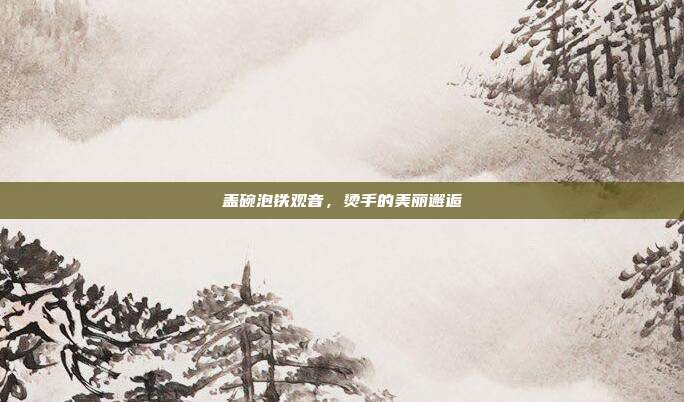 盖碗泡铁观音，烫手的美丽邂逅